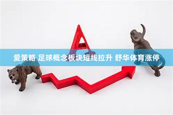 爱策略 足球概念板块短线拉升 舒华体育涨停