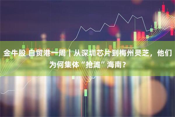 金牛股 自贸港一周|从深圳芯片到梅州灵芝,他们为何集体“抢滩”海南?