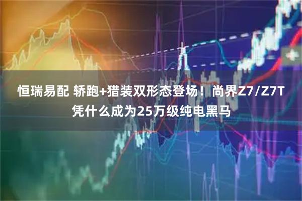 恒瑞易配 轿跑+猎装双形态登场!尚界Z7/Z7T凭什么成为25万级纯电黑马